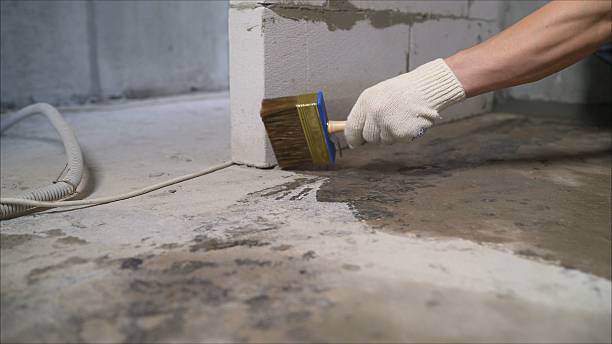 SJ Waterproofing Pros Waterproofing coverage map for Williston, SC and surrounding area